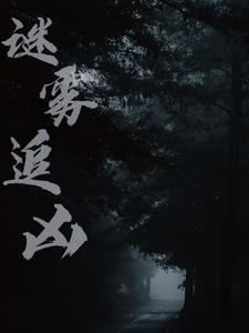 谜雾追凶
